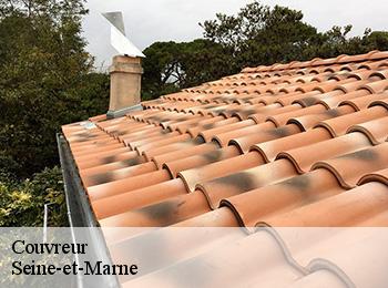 Couvreur Seine-et-Marne 
