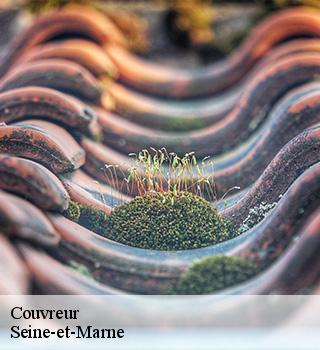 Couvreur Seine-et-Marne 