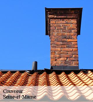 Couvreur Seine-et-Marne 