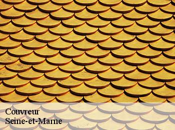 Couvreur Seine-et-Marne
