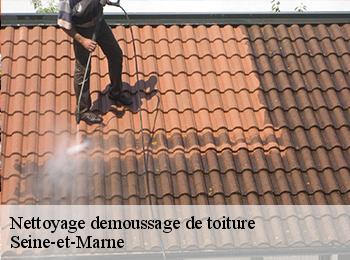 Nettoyage demoussage de toiture Seine-et-Marne