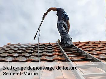 Nettoyage demoussage de toiture Seine-et-Marne