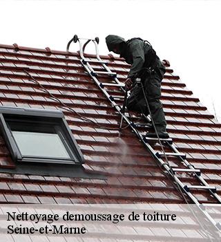 Nettoyage demoussage de toiture Seine-et-Marne