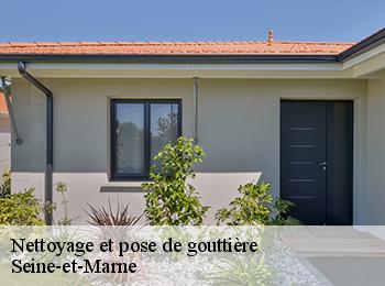 Nettoyage et pose de gouttière Seine-et-Marne