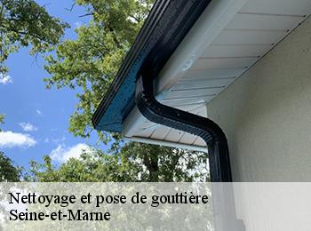 Nettoyage et pose de gouttière Seine-et-Marne