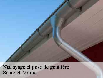 Nettoyage et pose de gouttière Seine-et-Marne 