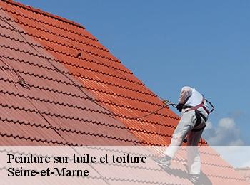 Peinture sur tuile et toiture Seine-et-Marne 