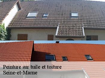 Peinture sur tuile et toiture Seine-et-Marne 