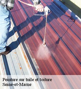 Peinture sur tuile et toiture Seine-et-Marne 