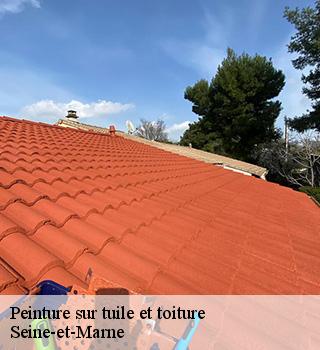 Peinture sur tuile et toiture Seine-et-Marne 