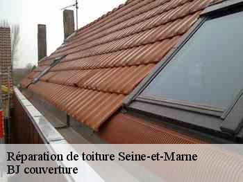 Réparation de toiture 77 Seine-et-Marne  BJ couverture