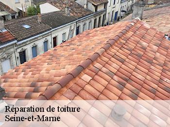 Réparation de toiture Seine-et-Marne 