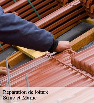 Réparation de toiture Seine-et-Marne 