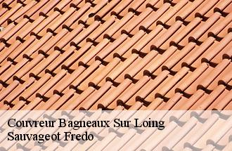 Couvreur bagneaux-sur-loing-77167 BJ couverture