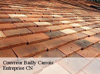 Couvreur bailly-carrois-77720 Entreprise CN