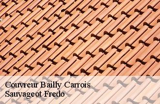 Couvreur bailly-carrois-77720 Sauvageot Fredo