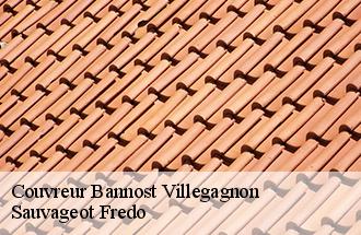 Couvreur bannost-villegagnon-77970