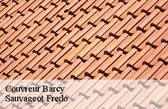 Couvreur barcy-77910 Sauvageot Fredo