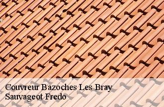 Couvreur bazoches-les-bray-77118 Sauvageot Fredo