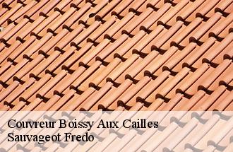 Couvreur boissy-aux-cailles-77760 Sauvageot Fredo