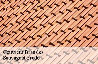 Couvreur bransles-77620 Sauvageot Fredo