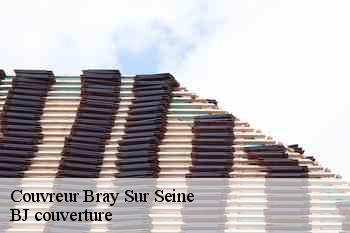 Couvreur  bray-sur-seine-77480 BJ couverture