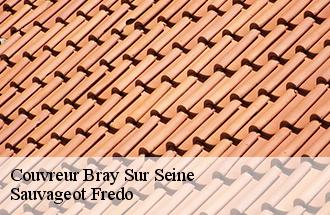 Couvreur bray-sur-seine-77480 Sauvageot Fredo