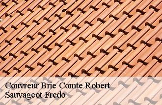Couvreur brie-comte-robert-77170 Sauvageot Fredo