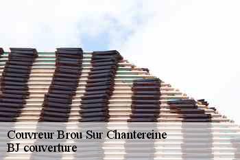 Couvreur  brou-sur-chantereine-77177 BJ couverture