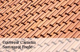 Couvreur  carnetin-77400 Sauvageot Fredo