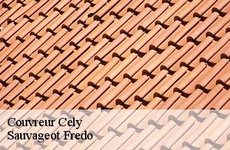 Couvreur cely-77930 Sauvageot Fredo
