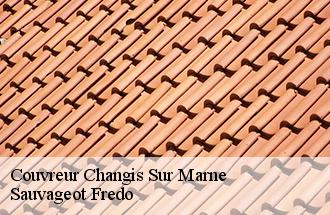 Couvreur changis-sur-marne-77660 BJ couverture