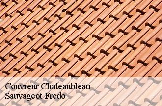 Couvreur chateaubleau-77370 BJ couverture