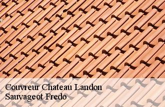 Couvreur chateau-landon-77570 Sauvageot Fredo