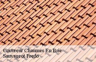Couvreur  chaumes-en-brie-77390 Sauvageot Fredo