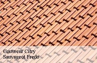 Couvreur citry-77730 Sauvageot Fredo