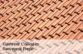Couvreur collegien-77090 Sauvageot Fredo