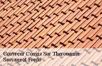 Couvreur congis-sur-therouanne-77440 Sauvageot Fredo