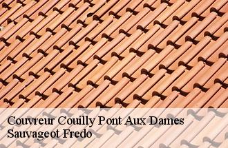 Couvreur couilly-pont-aux-dames-77860 Sauvageot Fredo