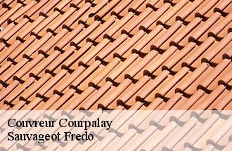 Couvreur courpalay-77540 Sauvageot Fredo