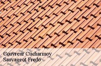Couvreur cucharmoy-77160 Sauvageot Fredo