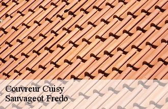 Couvreur cuisy-77165 Sauvageot Fredo