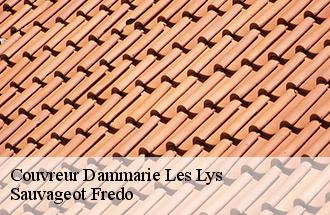 Couvreur dammarie-les-lys-77190 BJ couverture