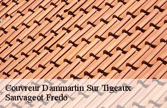 Couvreur dammartin-sur-tigeaux-77163 BJ couverture