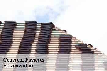 Couvreur  favieres-77220 BJ couverture