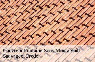 Couvreur fontaine-sous-montaiguill-77560 BJ couverture