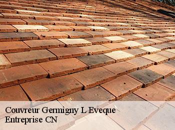 Couvreur  germigny-l-eveque-77910 Entreprise CN
