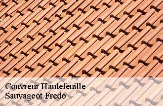 Couvreur hautefeuille-77515 BJ couverture