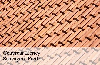 Couvreur hericy-77850 BJ couverture