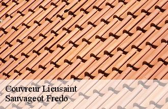 Couvreur lieusaint-77127 Sauvageot Fredo